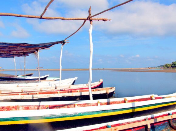 Tour en Canoa por los Manglares