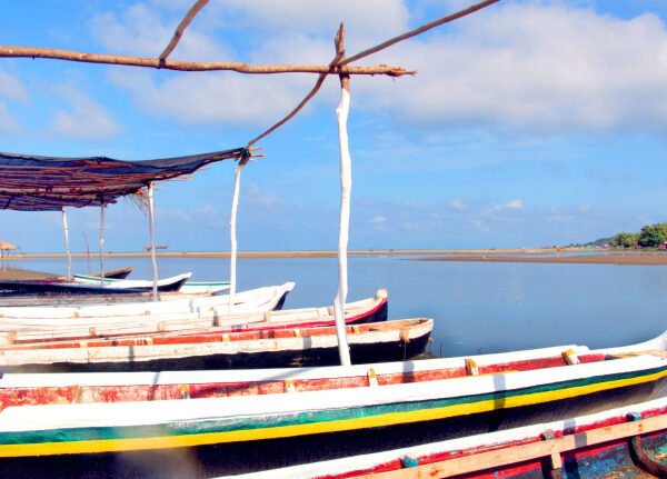 Tour en Canoa por los Manglares
