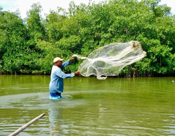 Tour Experiencial de Pesca por los Manglares de La Boquilla
