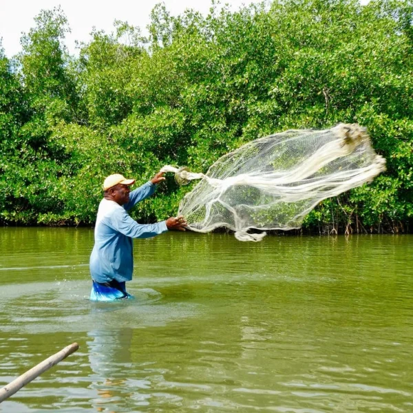 Tour Experiencial de Pesca por los Manglares de La Boquilla