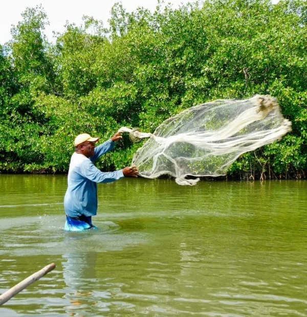 Tour Experiencial de Pesca por los Manglares de La Boquilla